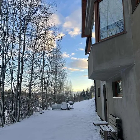 Guziczek דירה נובי טארג