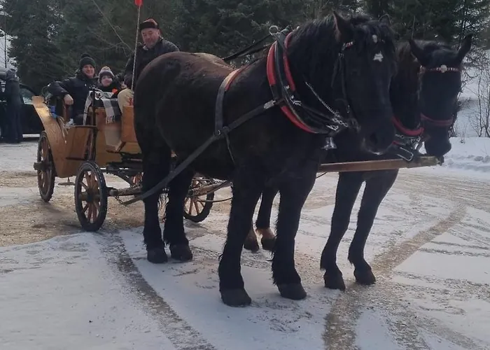Appartement Guziczek