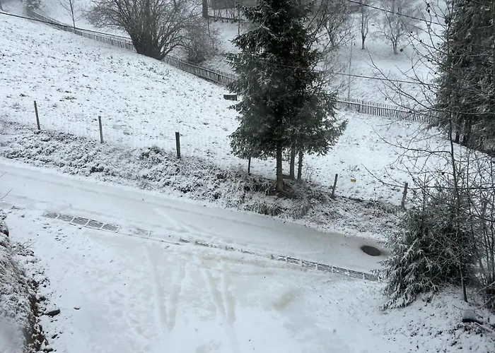 Appartement Guziczek *